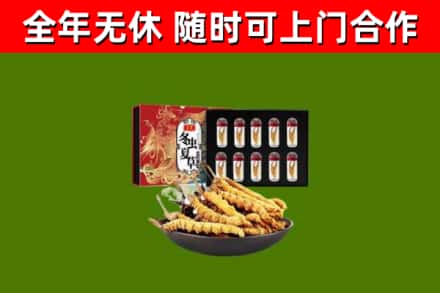 玄武区回收冬虫夏草价格